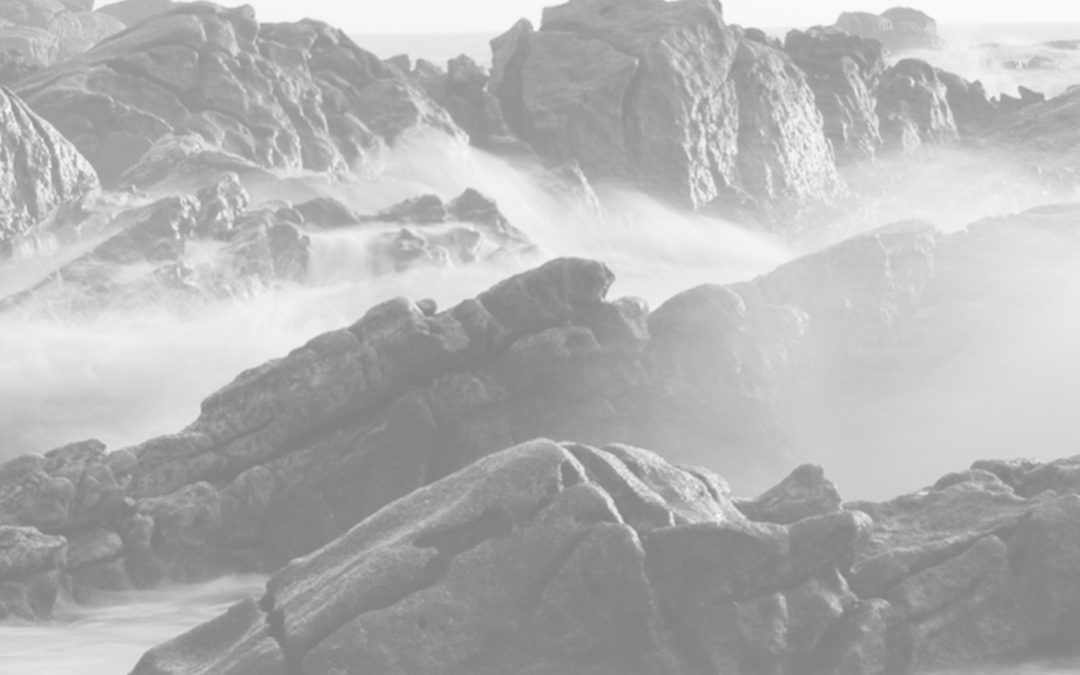 SISTEMA DE GESTÃO DE COMPLIANCE (ISO 37301)